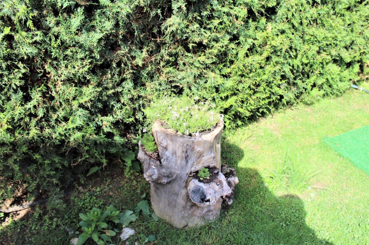 Guest House Brezata - Betula Glavatartsi Dış mekan fotoğraf